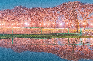 0403灯の写真
