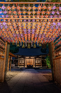 0416夜風に揺れる祈り