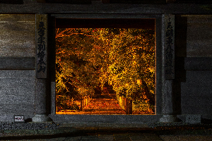 0437門の中の絵画の写真