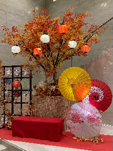 0439秋のフォトスポットの写真