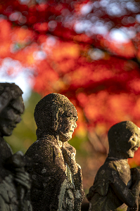 写真：0458秋深まる五百羅漢