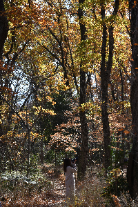 川越市006　秋の気配