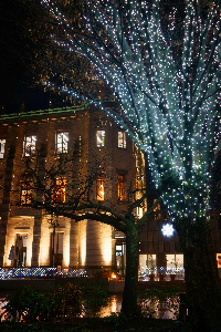 写真：0468光に映える大正ロマン