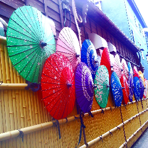 写真：0471咲いた　並んだ　傘の華