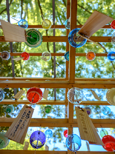 写真：川越氷川神社の風鈴