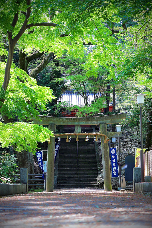 0011仙波東照宮