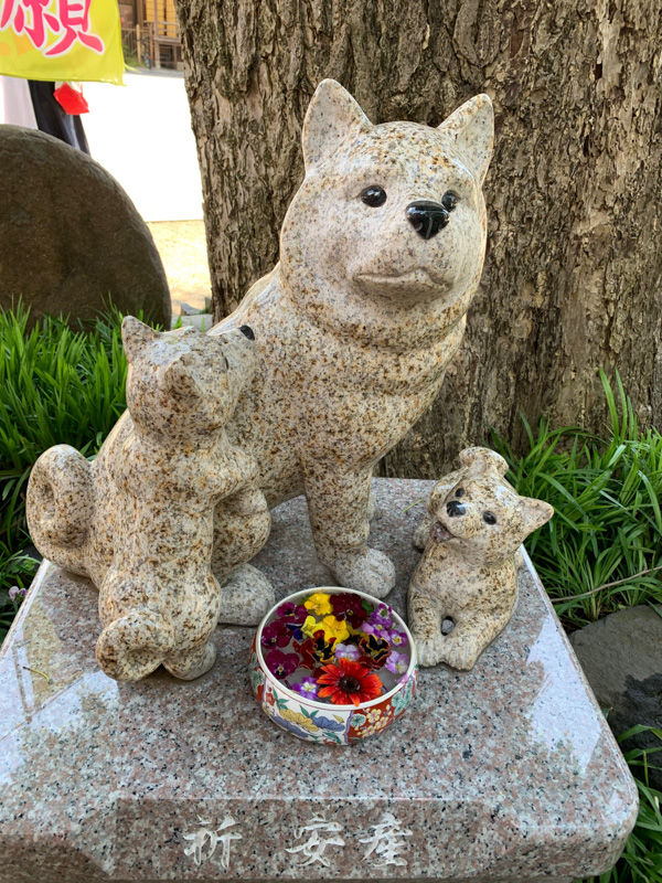 0032川越八幡宮　安産のなで戌