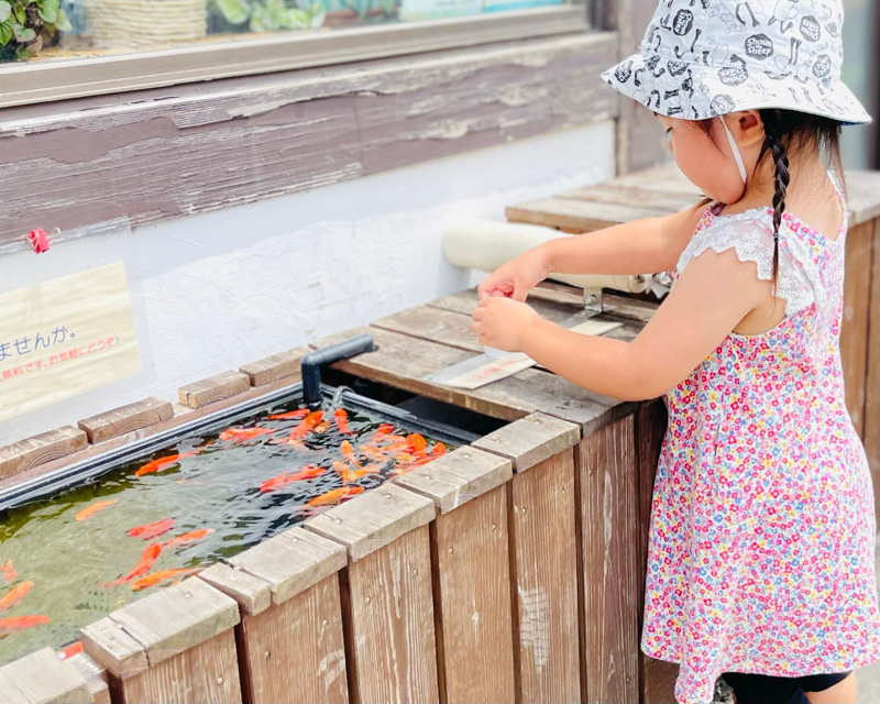 0062東洋堂の金魚