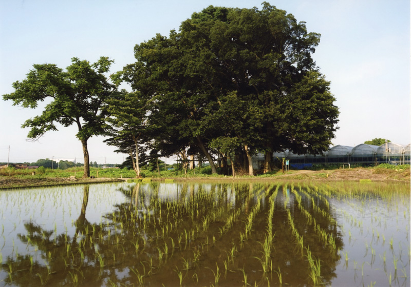 0107的場字蟹ヶ渕