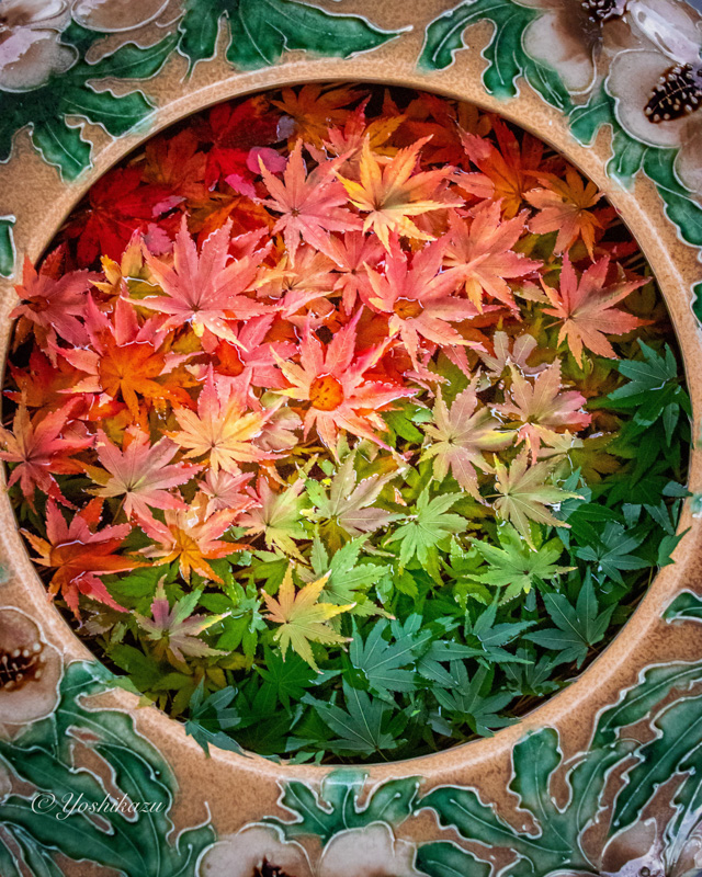 0118紅葉の花手水