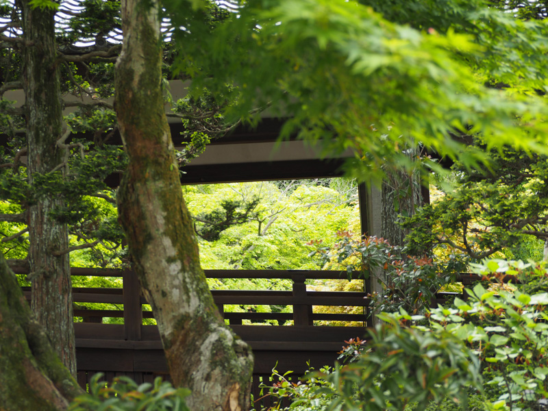 0133喜多院