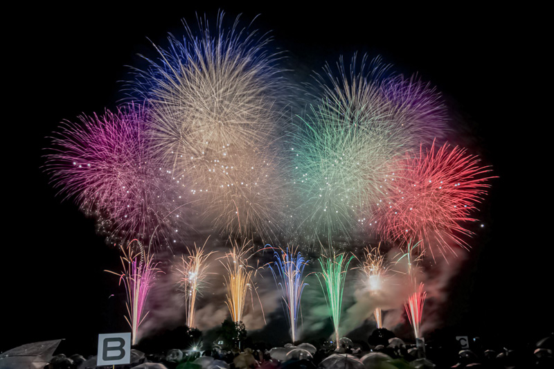 0136川越の夜空に輝く菊玉