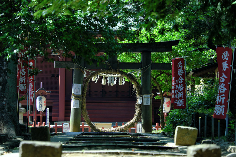0168三芳野神社参道を振り返った光景