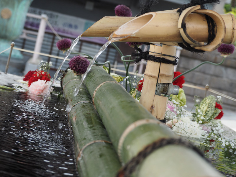 0200成田山川越別院の花手水