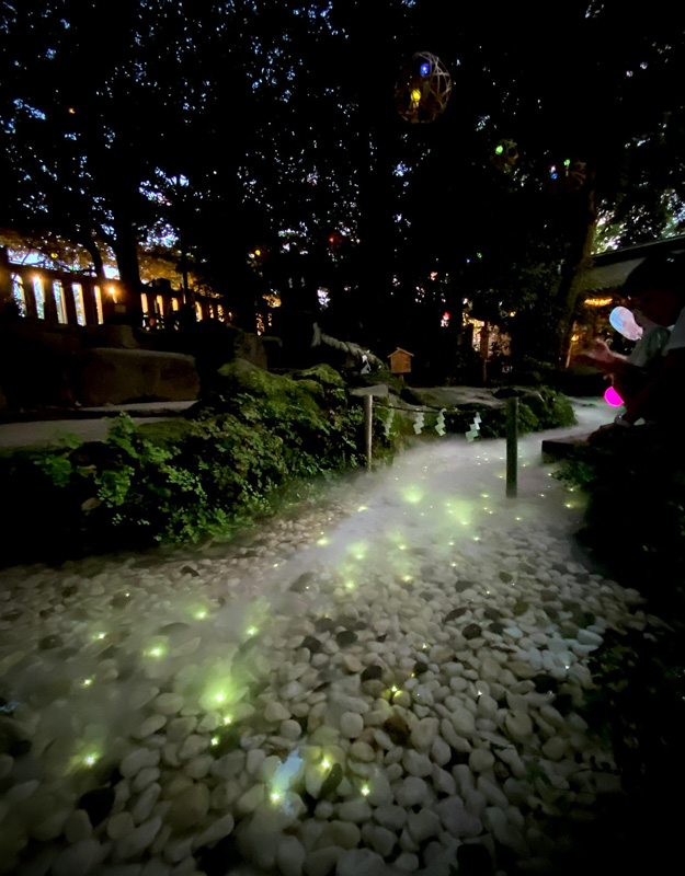 0213川越氷川神社『光る川の伝説』