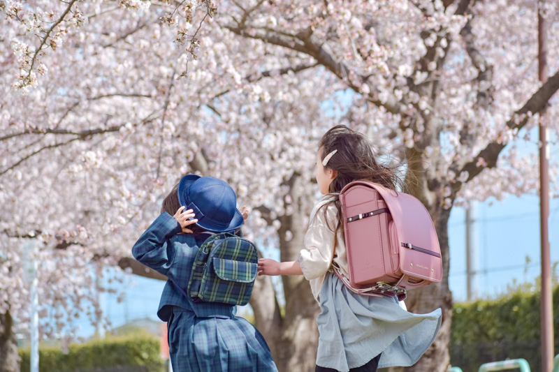 0240新生活を応援してくれた桜
