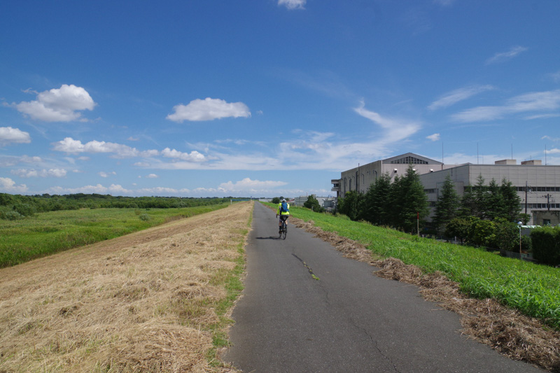 0249広い空と広がる緑