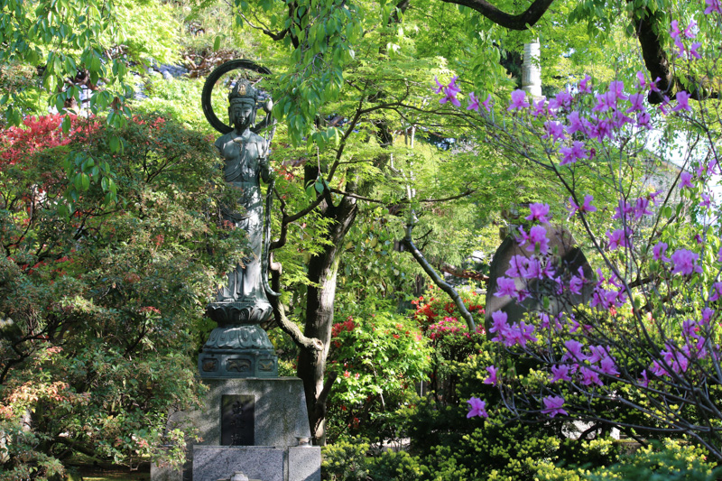 0250中院の新緑とつつじ