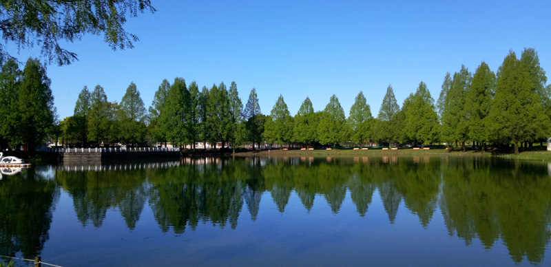 0279川越水上公園の水鏡