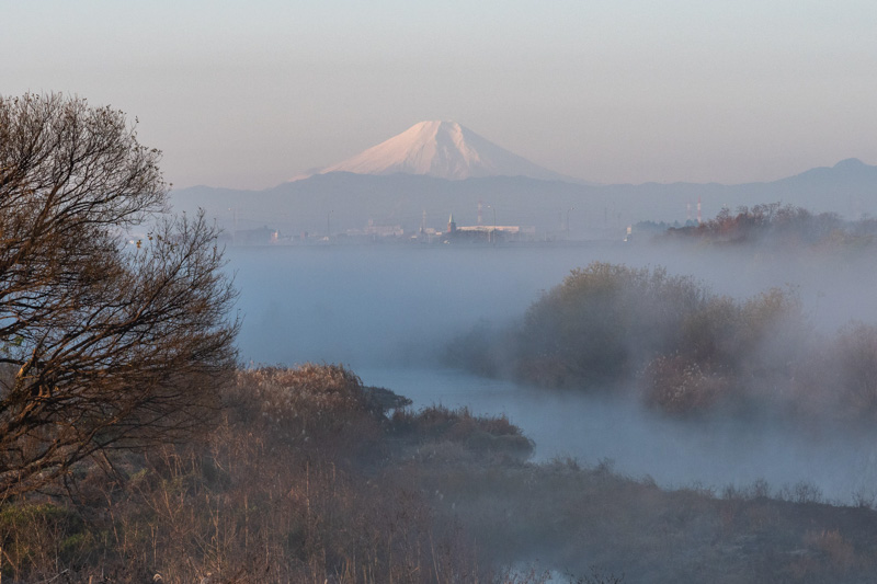0291早朝の入間川の川霧