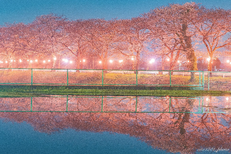 0403灯の写真