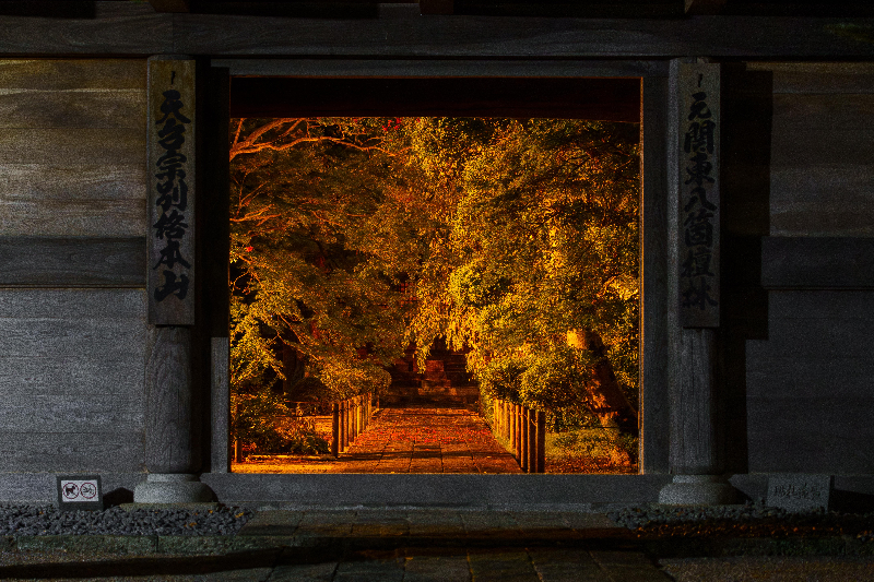 0437門の中の絵画の写真