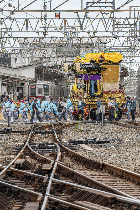 0441年に一度の踏切渡りの写真
