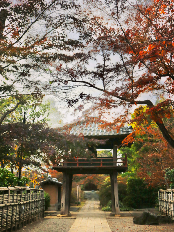 写真：0464川越の紅葉といえば