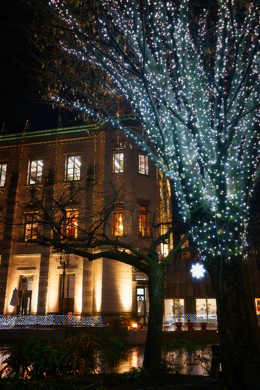 写真：0468光に映える大正ロマン