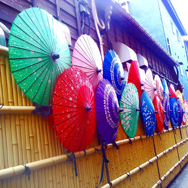 写真：0471咲いた　並んだ　傘の華