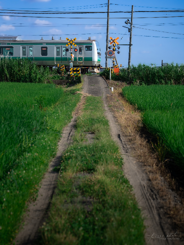 写真：田園を駆けるJR川越線
