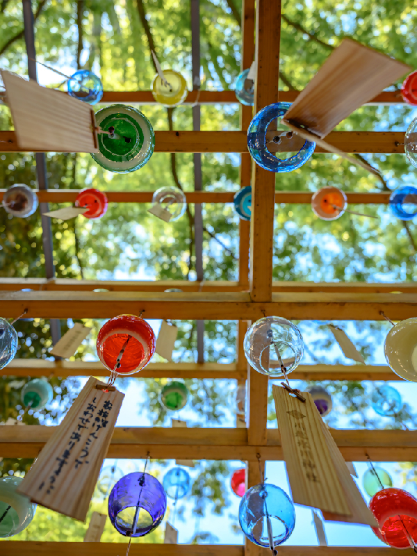 写真：川越氷川神社の風鈴